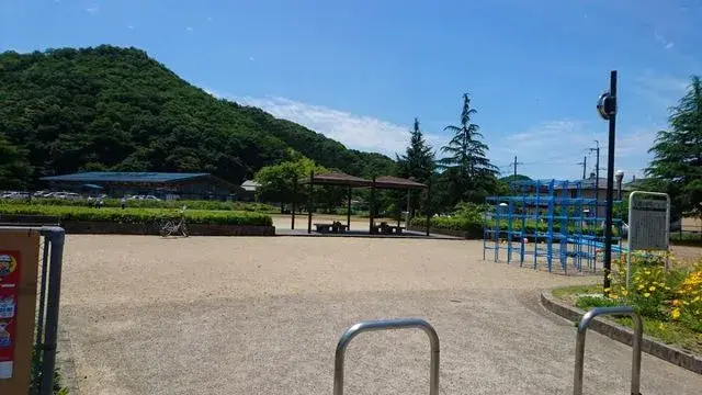 Slide 9