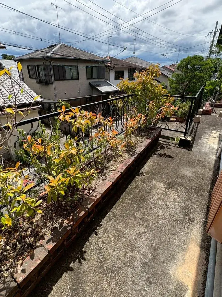 Slide 3