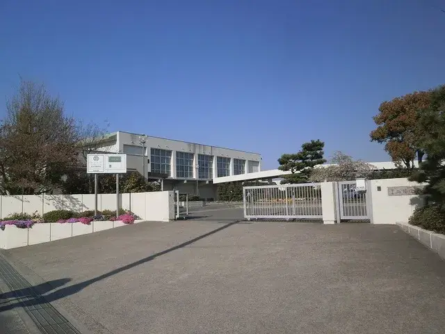 Slide 7