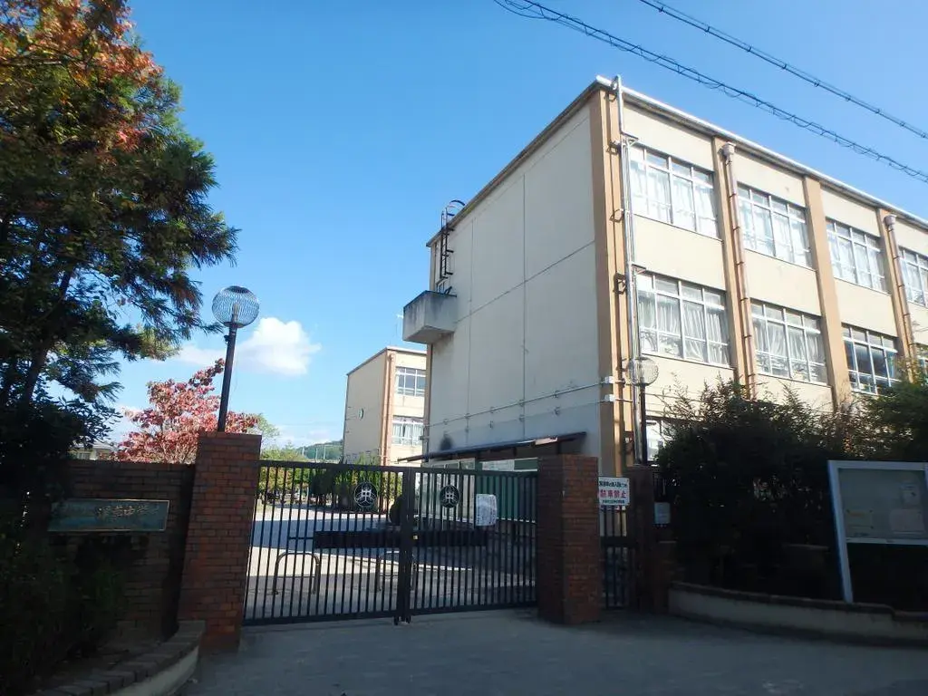 Slide 8