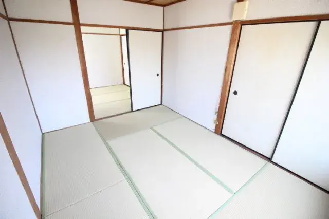 Slide 5
