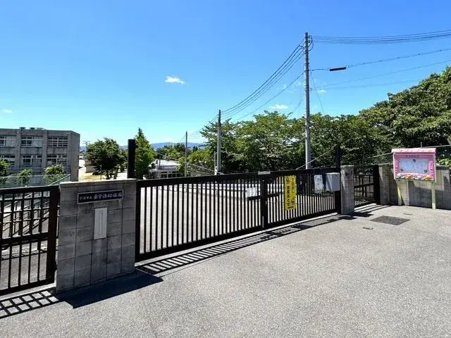 Slide 6