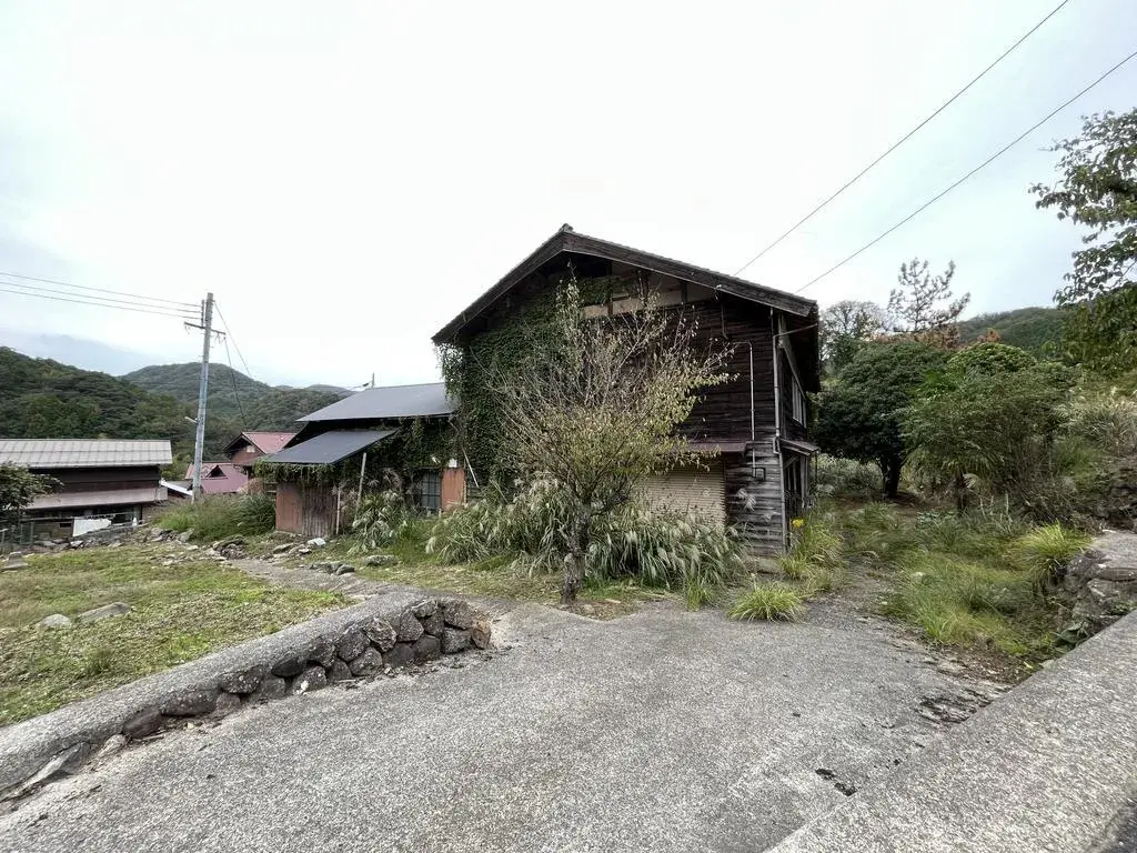 Slide 3