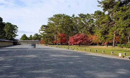 Slide 5