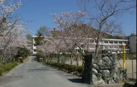 Slide 21