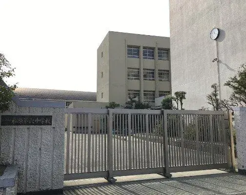Slide 8