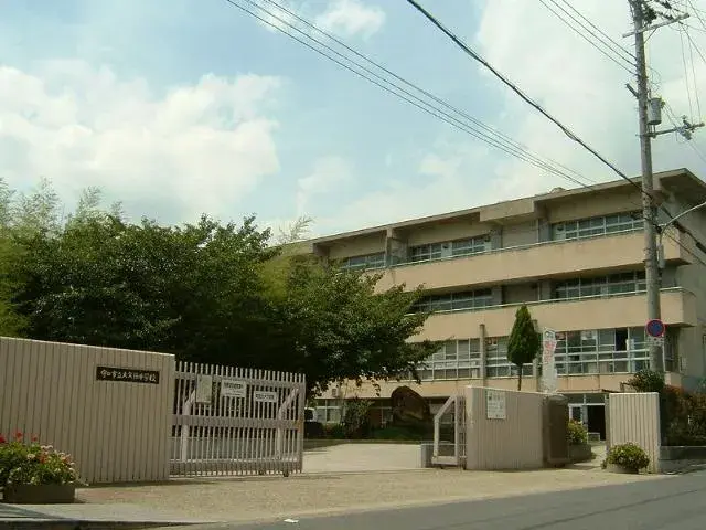 Slide 6