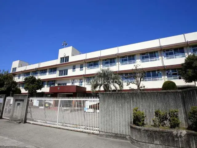Slide 8