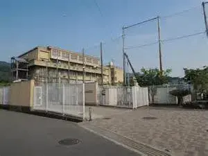 Slide 24