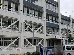 Slide 8