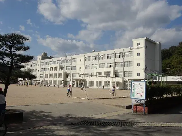 Slide 22