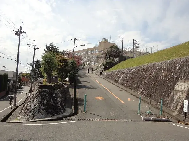 Slide 23