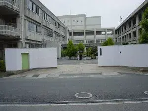 Slide 4