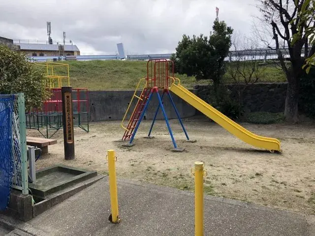 Slide 6