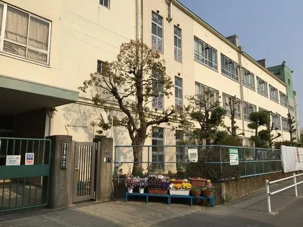 Slide 6