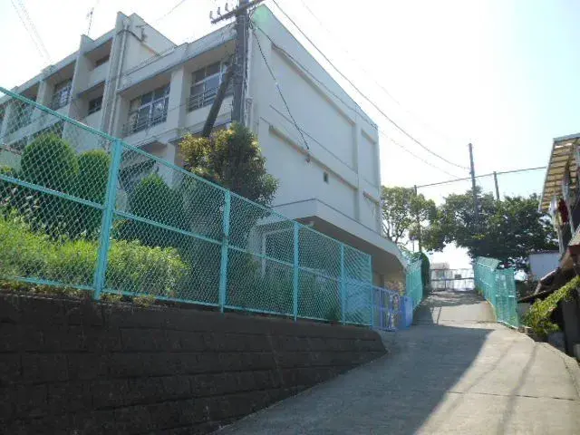 Slide 11