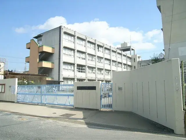 Slide 7