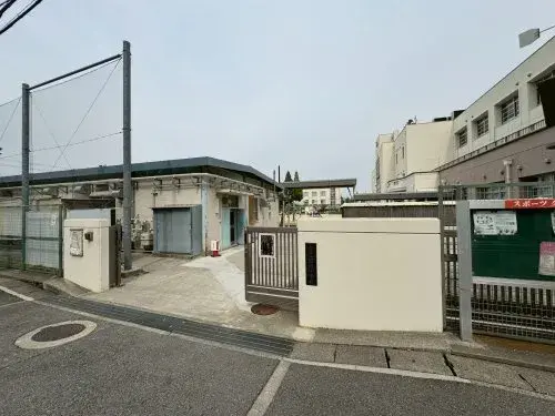 Slide 5