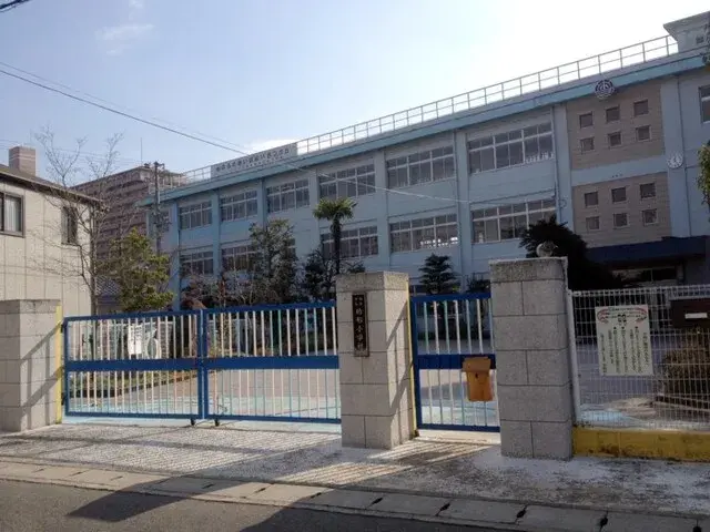 Slide 8