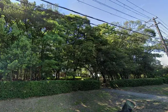 Slide 6