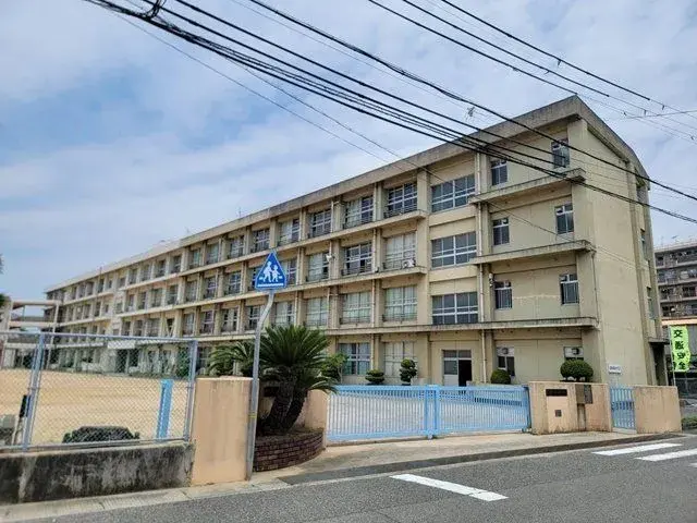 Slide 24