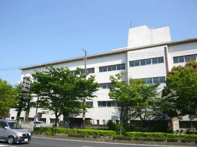 Slide 7