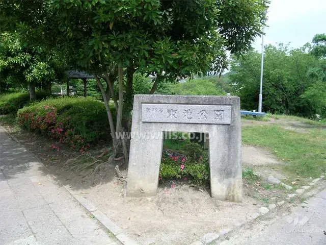 Slide 8