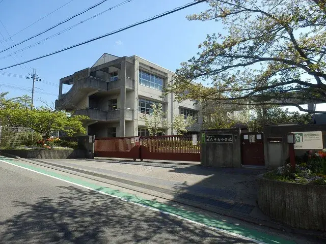 Slide 6