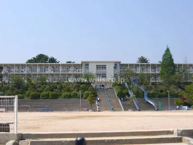 Slide 11