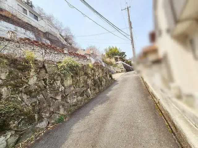 Slide 7