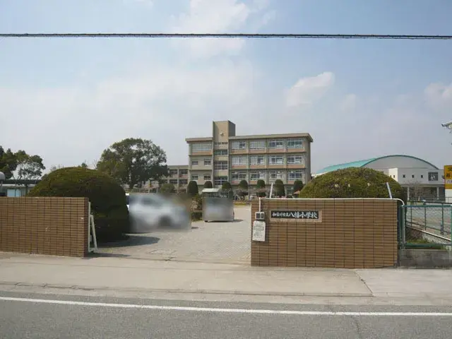 Slide 8