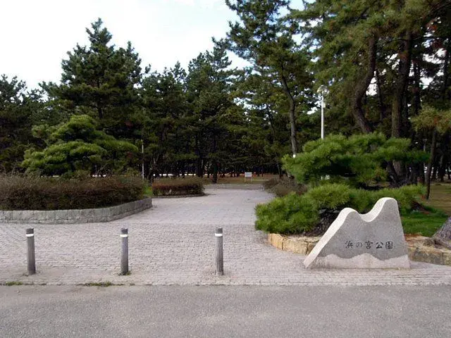 Slide 5