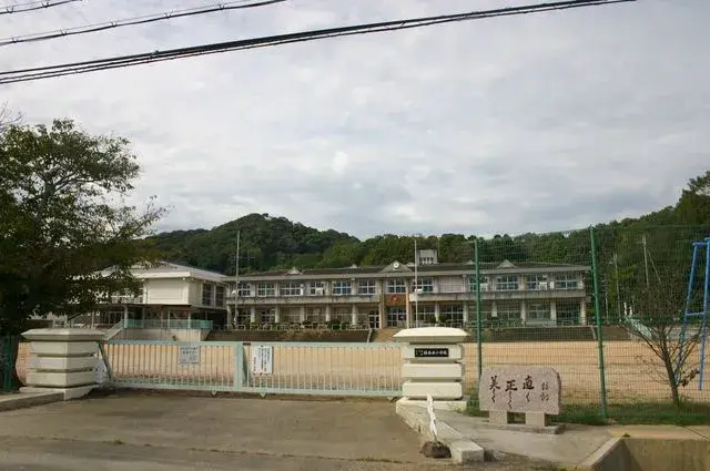 Slide 6