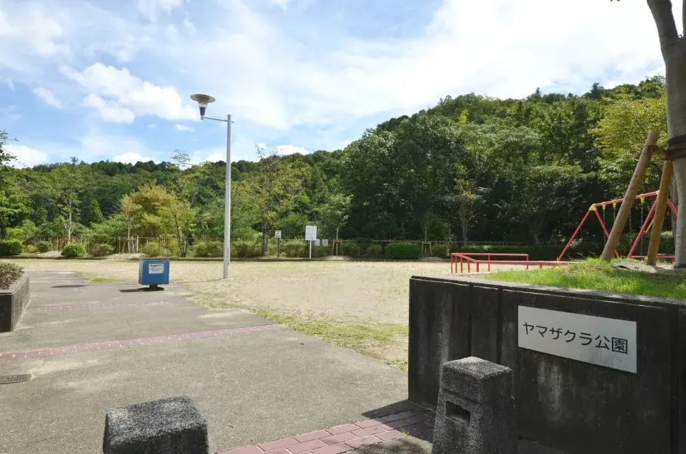 Slide 11
