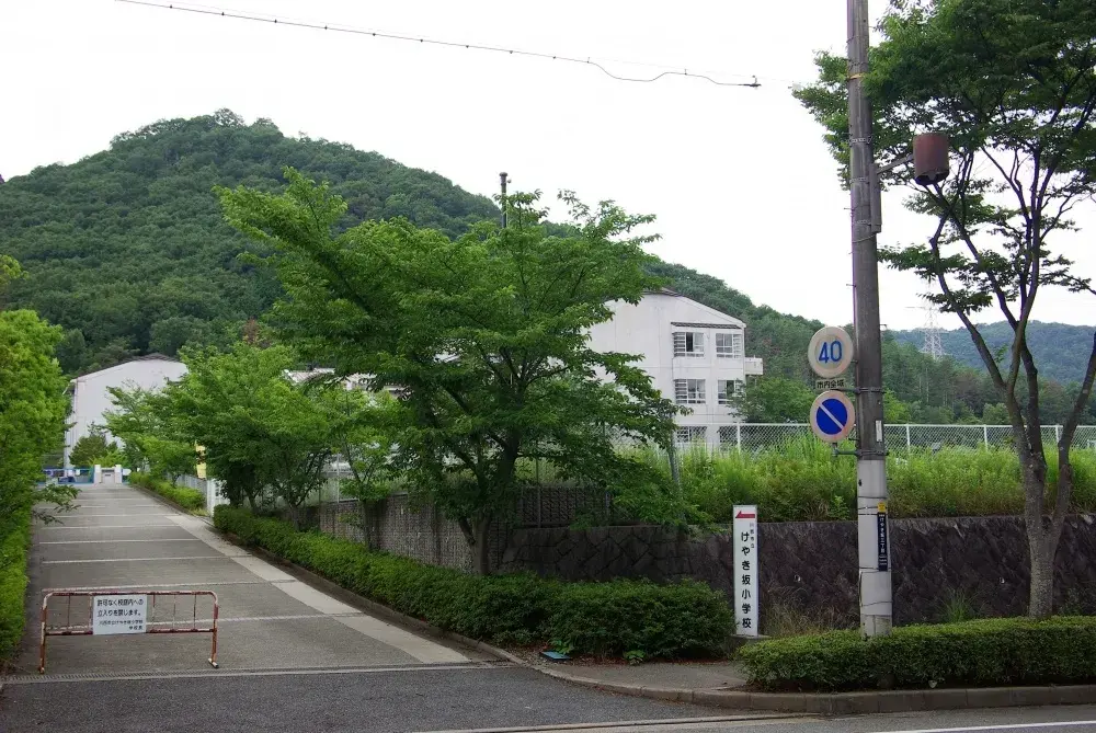 Slide 3