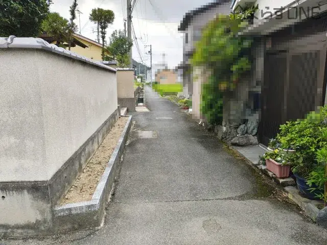 Slide 5