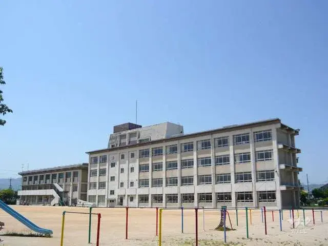 Slide 7