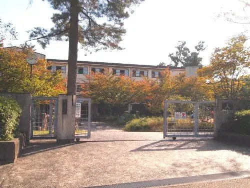Slide 4