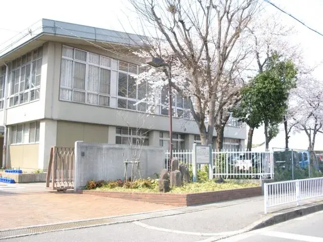 Slide 6