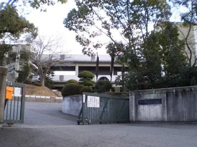 Slide 4