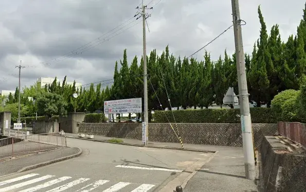 Slide 3