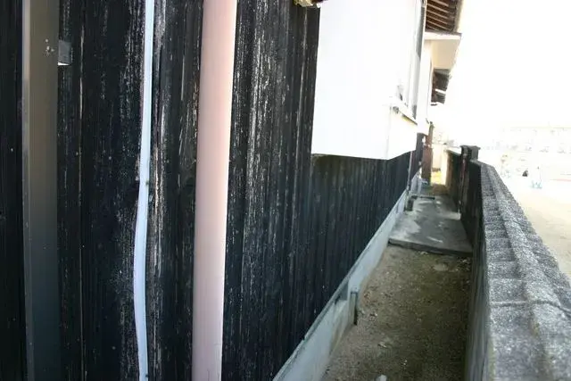 Slide 6