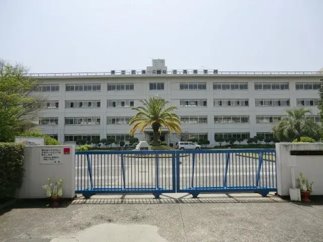 Slide 11