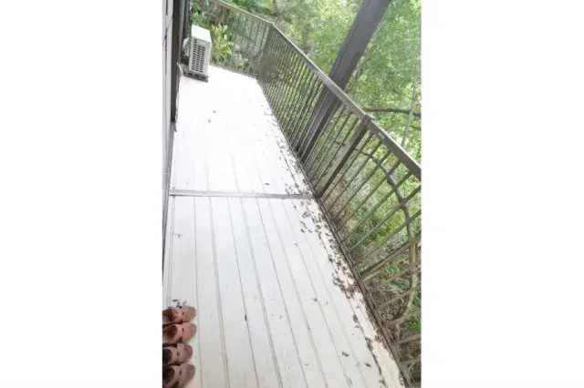 Slide 1