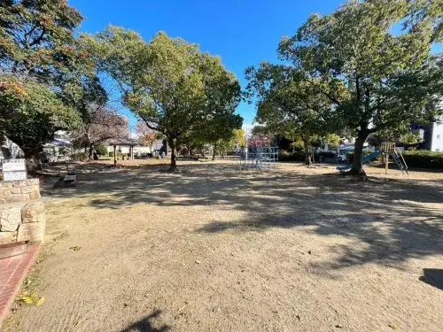 Slide 8