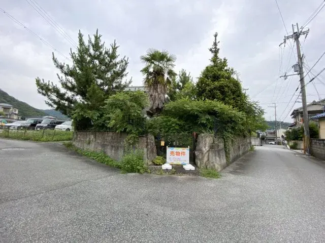Slide 8