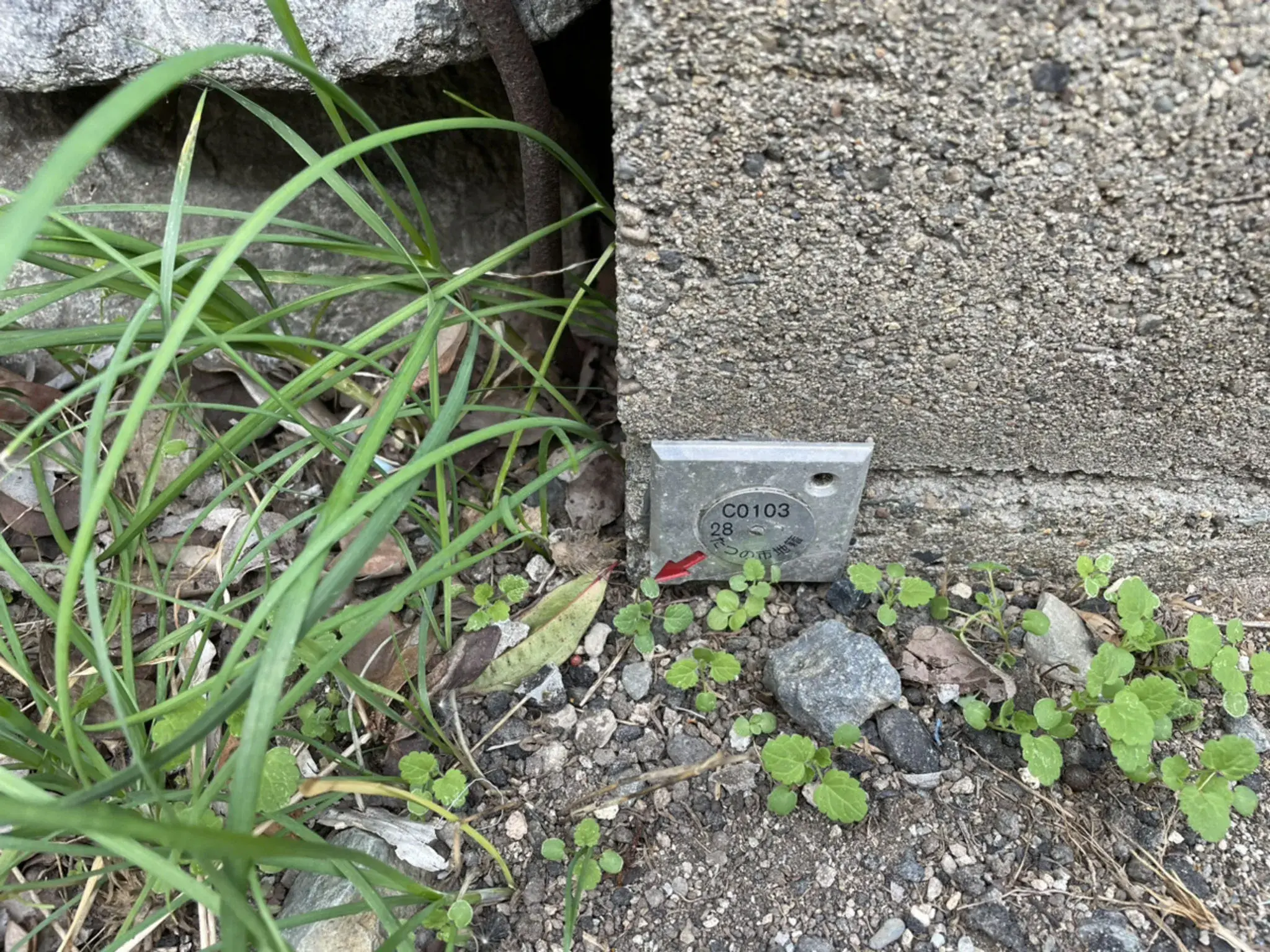 Slide 21