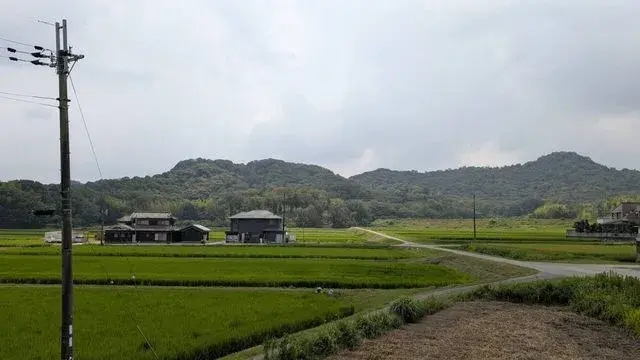 Slide 21