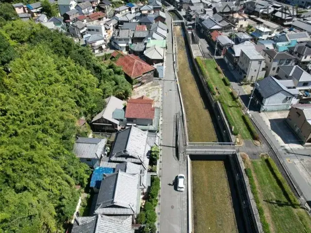 Slide 6