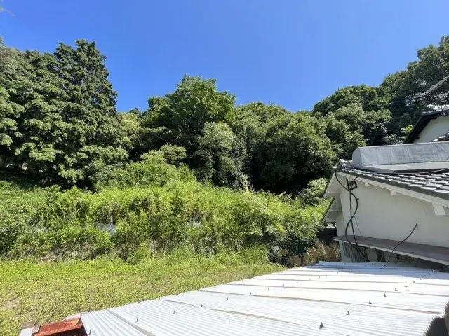 Slide 5